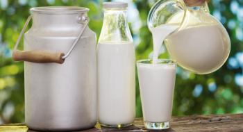 Експерт озвучив, скільки насправді в Україні виробляється молока Рис.1