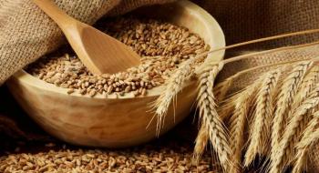 Експорт українських зернових та зернобобових досяг майже 30 млн тонн Рис.1
