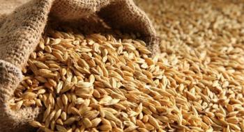 Експорт зерна з України майже досяг 31 млн т Рис.1