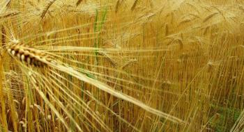 Мінекономіки спільно зі швейцарським проєктом працюють над розвитком сільського господарства в Україні Рис.1