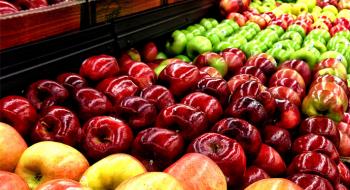 На тлі скорочення експорту яблук з України садівники підвищили ціни Рис.1