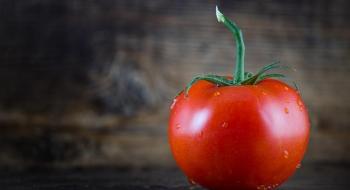 Новий спосіб поліпшити якість зібраних томатів придумали американські вчені Рис.1