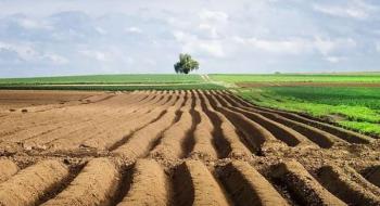 Опубліковано 4 прогнози щодо майбутнього ринку землі та вартості паїв Рис.1