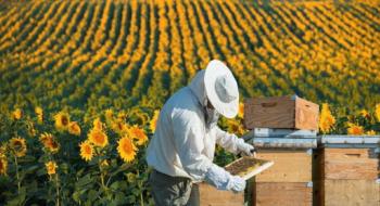 Попит на дотації для бджолярів вдвічі перевищив очікування,- Тарас Висоцький Рис.1