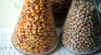 Ristone Holdings уже закупив насіння, ЗЗР і добрив на 200 млн грн Рис.1
