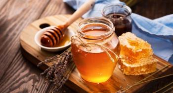 Україна продовжує залишатися лідером на світовому ринку меду Рис.1