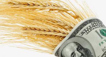 Українські експортери в січні 2021 року вдвічі скоротили відвантаження зернових Рис.1