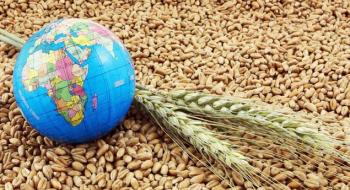В ООН прогнозують скорочення світових запасів зерна до мінімуму за 5 років Рис.1