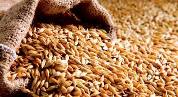 В Україні падають ціни на пшеницю Рис.1