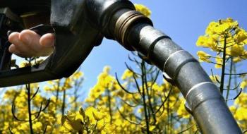 В Україні розробили чотири законопроекти для прискорення переходу на біопаливо Рис.1