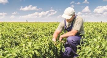 Верховна Рада підтримала у першому читанні законопроект щодо стимулювання фермерських господарств Рис.1