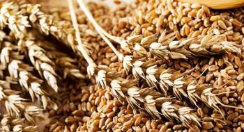 З України експортували 30,6 млн тонн зерна Рис.1