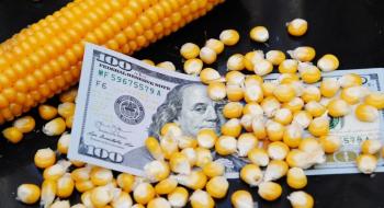 Закупівля Китаєм великої партії кукурудзи з США призвела до підвищення цін Рис.1