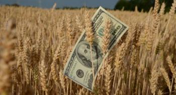 Ціни на пшеницю знижуються слідом за іншими ринками сировини Рис.1
