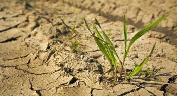 На Одещині фермери закривають господарства через втрати від минулорічної посухи Рис.1