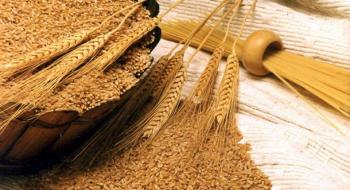 Очікується досить високий рівень перехідних запасів зерна, - Висоцький Рис.1