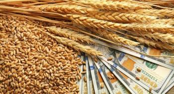 Різке падіння цін на чорноморську пшеницю триває Рис.1