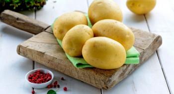 Сорти картоплі з низьким вмістом вуглеводів будуть європейським хітом Рис.1