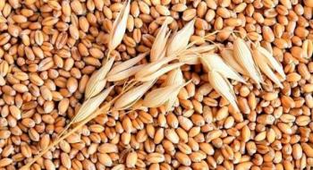 Світове виробництво пшениці в сезоні-2021/22 МР оновить рекорд, — FAO Рис.1