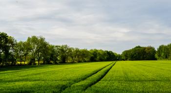 У Євросоюзі до 2030 року 25% сільгоспземель планують використовувати під органіку Рис.1