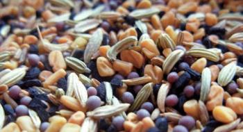 Україна скоротила імпорт насіння олійних культур на 46% Рис.1