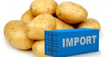 Україна вже другий сезон продовжує нарощувати імпорт картоплі Рис.1