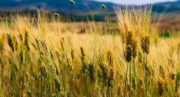 В Україні офіційно стартував Проект «Розвиток фінансування кліматично-орієнтованого сільського господарства» Рис.1