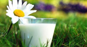 В Україні зафіксували найнижчий рівень прибутковості молока за останні 4,5 роки Рис.1