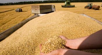 Запаси зернових та олійних в Україні значно нижчі, ніж рік тому Рис.1