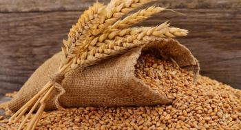 Зниження біржових котирувань посилює тиск на ціни чорноморської пшениці Рис.1