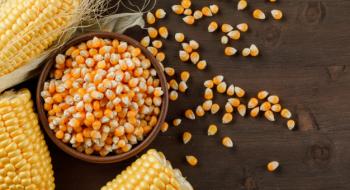Дані звіту USDA знову не співпали з прогнозами аналітиків, тому ціни на кукурудзу виросли майже на 8% Рис.1