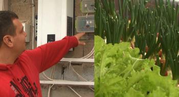 Фермер з Хмельниччини вирощує зелень та овочі за допомогою ІТ-технологій Рис.1