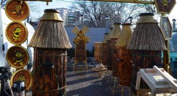Харківський бджоляр облаштував унікальну пасіку на даху будинку Рис.1