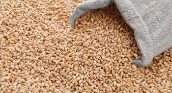Стрімке зростання ринків сої та кукурудзи підтримало біржові ціни на пшеницю Рис.1