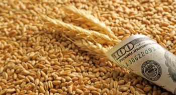 В Україні виросли закупівельні ціни на пшеницю Рис.1