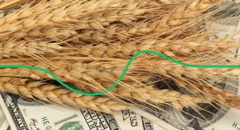 Ціни на пшеницю різко виросли Рис.1