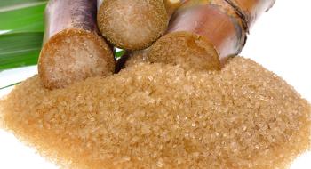 Гнідавський завод почне випускати тростинний цукор Рис.1