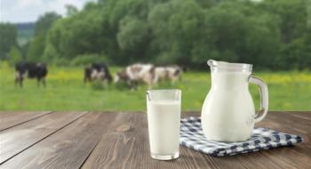 Першу промислову лінію з виробництва молока А2 запустили на Чернигівщині Рис.1