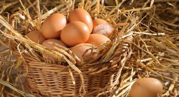 Середня ціна яєць знизилася до 22,84 грн Рис.1