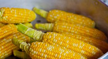 В Україні знизились закупівельні ціни на кукурудзу Рис.1