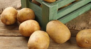Завод із переробки картоплі на Львівщині планують запустити у листопаді Рис.1