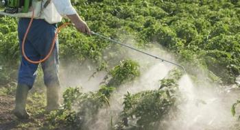 Аграрії зменшили застосування пестицидів на 3% Рис.1