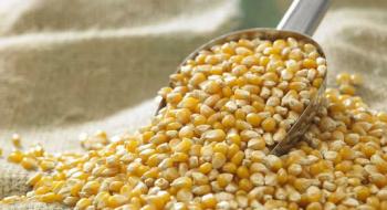 Дефіцит опадів погіршує перспективи врожаю кукурудзи в Бразилії та ярої пшениці у США Рис.1
