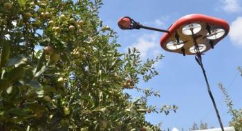 Ізраїльський стартап створив робота-безпілотника для збору врожаю фруктів Рис.1