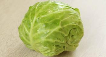 Китайські вчені майже розгадали секрет головок салату й капусти Рис.1