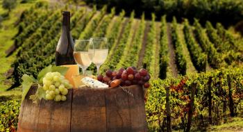 Мінагрополітики виставило на обговорення законопроект про виноград та виноградне вино Рис.1