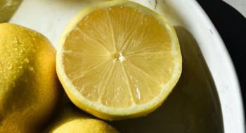 Новий сорт лимона Яффський оголошує свободу від кісточок Рис.1