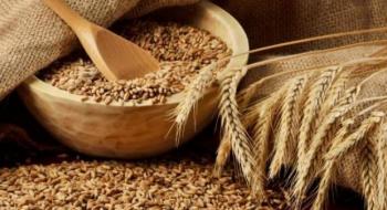 Підвищення прогнозів виробництва пшениці в Україні посилює тиск на ціни Рис.1