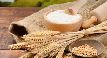 Україна експотувала 42,5 млн т зерна Рис.1