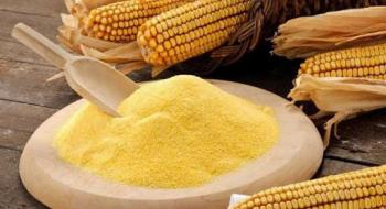 В Україні побудують третій у світі за потужністю завод з переробки кукурудзи Рис.1